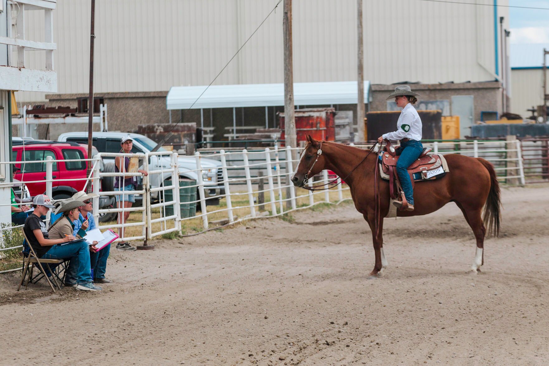 PHOTOS: 4-H Horse Show 2020